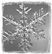 snowflake: State of the Cryosphere logo