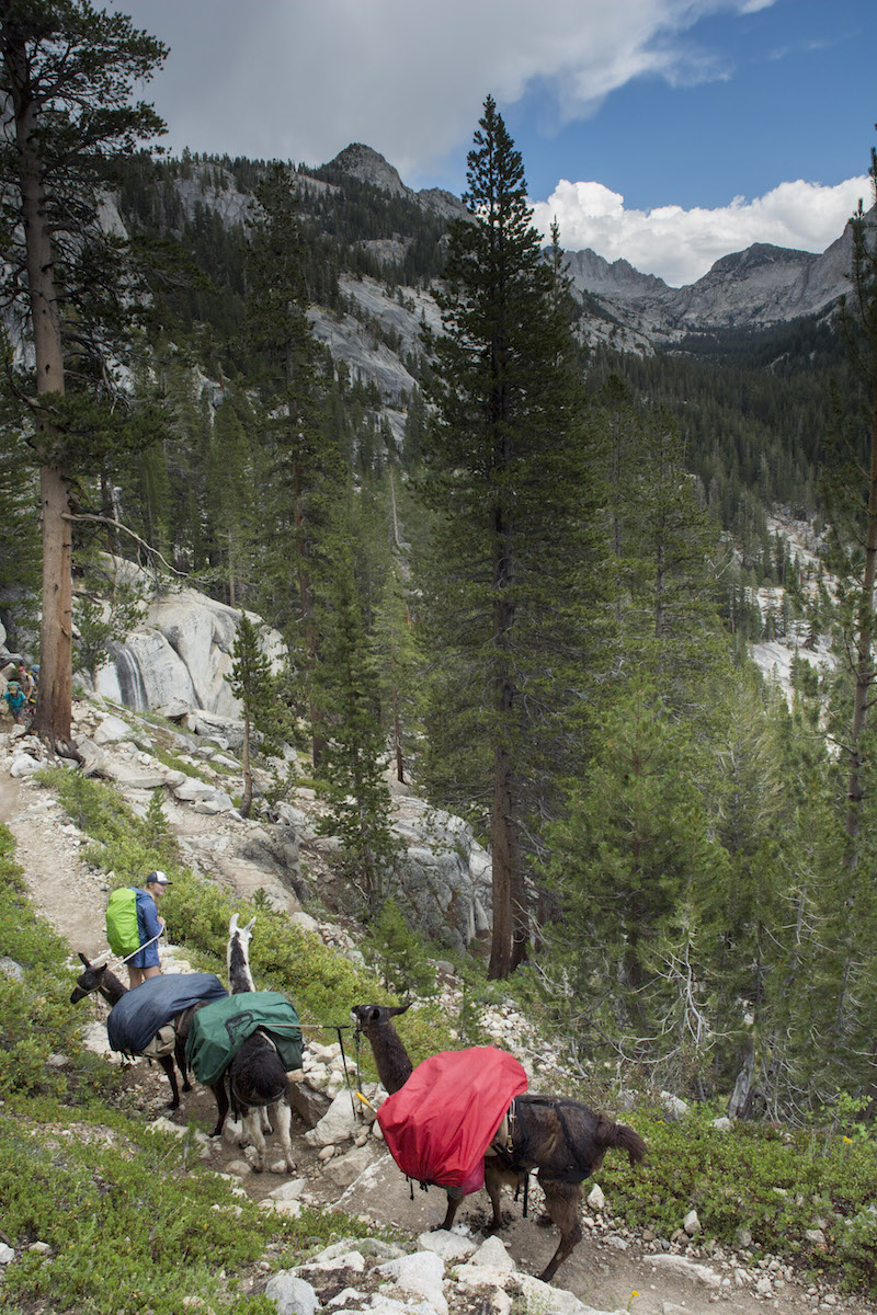 Descending into North Fork of Mono Creek's canyon