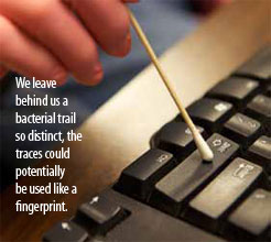 We leave behind us a bacterial trail so distinct, the traces could potentially be used like a fingerprint.
