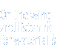On the Wing and Listening for Waterfalls